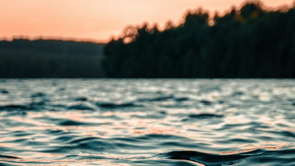 vague coucher soleil plume cursive